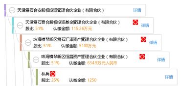 天津雷石合安股權(quán)投資管理合伙企業(yè)（有限合伙） 股權(quán)投資管理的專業(yè)踐行者